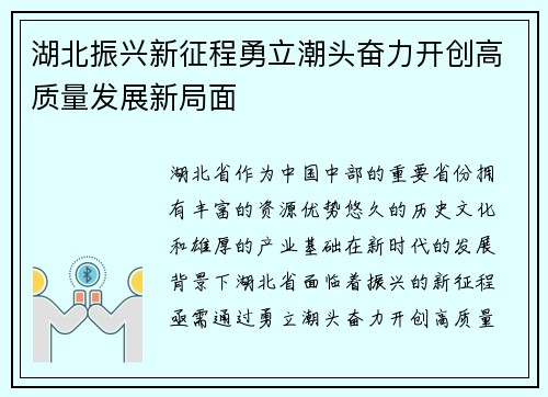 湖北振兴新征程勇立潮头奋力开创高质量发展新局面
