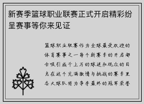 新赛季篮球职业联赛正式开启精彩纷呈赛事等你来见证