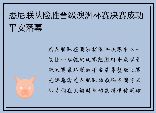 悉尼联队险胜晋级澳洲杯赛决赛成功平安落幕