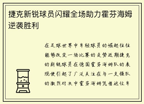 捷克新锐球员闪耀全场助力霍芬海姆逆袭胜利