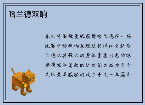 哈兰德双响